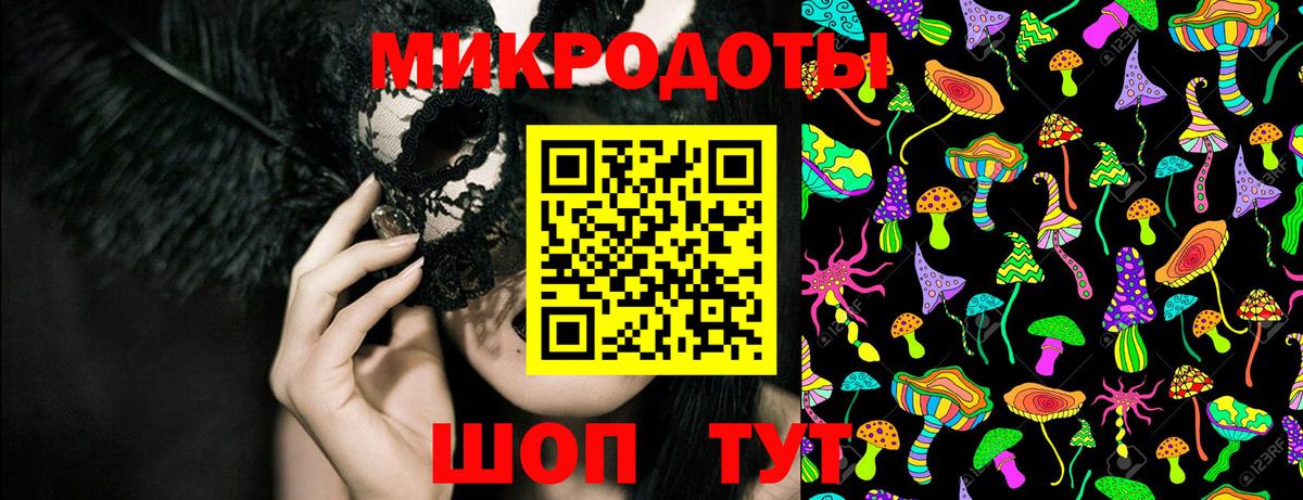 Псилоцибиновые грибы Cubensis Иваново