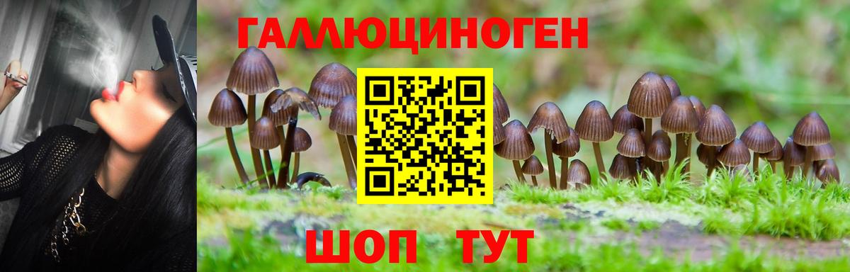 Иваново  Галлюциногенные грибы мицелий  Вход с VPN 